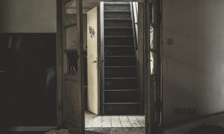 Drzwi wejściowe do mieszkania w bloku – ceny z montażem